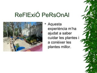 ReFlExiÓ PeRsOnAl
 Aquesta
experiència m’ha
ajudat a saber
cuidar les plantes i
a conèixer les
plantes millor.
 