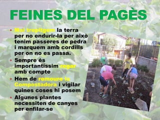  Mai trepitgem la terra 
per no endurir-la per això 
tenim passeres de pedra 
i marquem amb cordills 
per on no es passa. 
 Sempre és 
importantíssim regar 
amb compte 
 Hem de remoure la 
Compostadora i vigilar 
quines coses hi posem 
 Algunes plantes 
necessiten de canyes 
per enfilar-se 
 