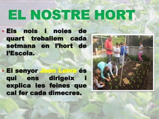  Els nois i noies de 
quart treballem cada 
setmana en l’hort de 
l’Escola. 
 El senyor Joan Leiva és 
qui ens dirigeix i 
explica les feines que 
cal fer cada dimecres. 
 