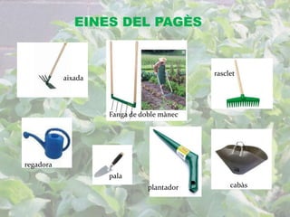 EINES DEL PAGÈS 
aixada 
Fanga de doble mànec 
regadora 
rasclet 
plantador cabàs 
pala 
 