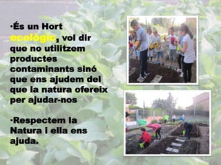 •És un Hort 
ecològic, vol dir 
que no utilitzem 
productes 
contaminants sinó 
que ens ajudem del 
que la natura ofereix 
per ajudar-nos 
•Respectem la 
Natura i ella ens 
ajuda. 
 