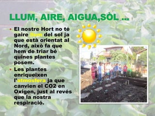  El nostre Hort no té 
gaire llum del sol ja 
que està orientat al 
Nord, això fa que 
hem de triar bé 
quines plantes 
posem. 
 Les plantes 
enriqueixen 
l'atmosfera ja que 
canvien el CO2 en 
Oxigen, just al revés 
que la nostra 
respiració. 
 
