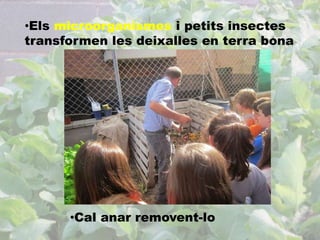 •Els microorganismes i petits insectes 
transformen les deixalles en terra bona 
•Cal anar removent-lo 
 