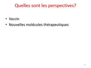 Quelles sont les perspectives?

• Vaccin
• Nouvelles molécules thérapeutiques




                                       43
 