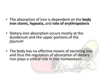 • The absorption of iron is dependent on the body
iron stores, hypoxia, and rate of erythropoiesis
• Dietary iron absorption occurs mostly at the
duodenum and the upper portions of the
jejunum
• The body has no effective means of excreting iron
and thus the regulation of absorption of dietary
iron plays a critical role in iron homeostasis
 