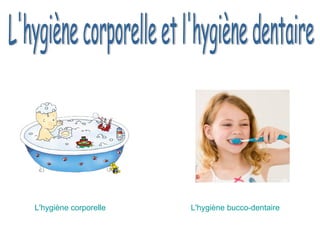 L'hygiène corporelle et l'hygiène dentaire L'hygiène corporelle L'hygiène bucco-dentaire 