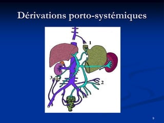 Dérivations porto-systémiques




                                9
 