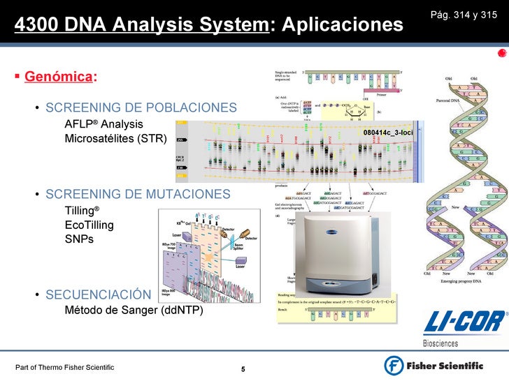 slideshare