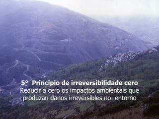 5° Principio de irreversibilidade cero 
Reducir a cero os impactos ambientais que
produzan danos irreversibles no entorno 
 