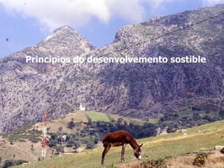 Principios do desenvolvemento sostible
 