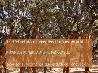 1° Principio de recolección sustentable
 
RECURSOS POTENCIALMENTE RENOVABLES
 
Taxa consumo menor que a taxa de renovación
 