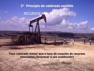 2° Principio de valeirado sostible 
 
RECURSOS NON RENOVABLES 
 
 
 
Taxa valeirado menor que a taxa de creación de recursos
renovables (favorecer a súa sustitución) 
 