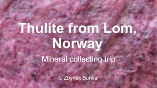 Thulite from Lom,
Norway
Mineral collecting trip
© Zbyněk Buřival
 