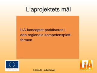 Liaprojektets mål




  Lärande i arbetslivet
 