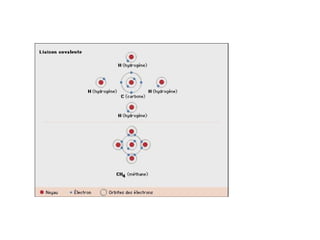4T Liaisons chimique