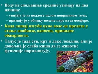 • Воду из спољашње средине узимају на два
начина:
– упијају је из подлоге целом површином тела;
– примају је у облику водене паре из атмосфере.
• Када лишај изгуби пуно воде он прелази уКада лишај изгуби пуно воде он прелази у
стање анабиозе, односно, привиднестање анабиозе, односно, привидне
обамрлости.обамрлости.
• Талус је тада сув, крт и лако ломљив, али је
довољна је слаба киша да се животне
функције нормализују.
 