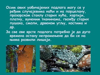 Осим ових уобичајених подлога могу се у
ређим случајевима наћи и на порцелану,
прозорском стаклу старих кућа, хартији,
платну, вуненим тканинама, гвожђу старих
пушака, смоли, дрвеном угљу, костима и
др.
За све ове врсте подлога потребно је да дуго
времена остану непромењене да би се на
њима развили лишаји.
 