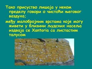 Tако присуство лишаја у неком
пределу говори о чистоћи његовог
ваздуха;
међу малобројним врстама које могу
живети у близини људских насеља
издваја се Xantoriа са листастим
талусом
 