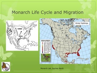 Monarchs
 No one wants to see the Monarch listed.
 Landscape Level Effort
 Create and protect enough habitat to prevent...