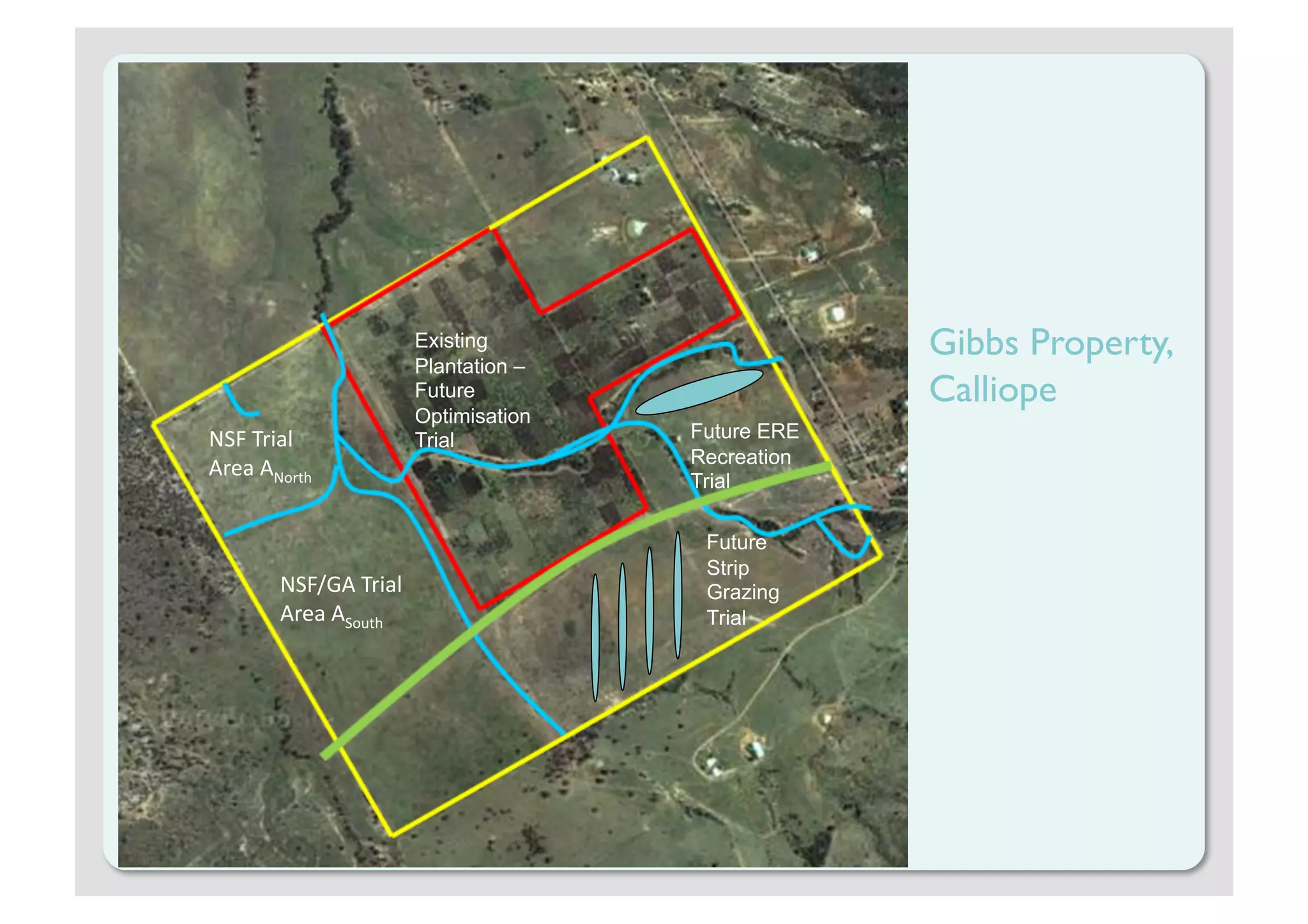 Existing
                       Plantation –
                                                   Gibbs Property,
                       Future                      Calliope
                       Optimisation
NSF Trial              Trial          Future ERE
                                      Recreation
Area ANorth
                                      Trial

                                       Future
                                       Strip
       NSF/GA Trial                    Grazing
       Area ASouth                     Trial
 