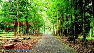 Peripheral terbagi menjadi 2 macam berdasarkan
fungsi peripheral komputer tersebut, yaitu:
Peripheral utama, yaitu perangkat keras atau
hardware yang harus ada jika kita megoperasikan
komputer sehingga peripheral ini tidak dapat
dipisahkan dengan komputer utama, contohnya:
mouse, keyboard dan monitor.
Peripheral Pendukung, yaitu perangkat keras atau
hardware yang tidak harus ada pada saat
pengoperasian komputer, sehingga peripheral ini
merupakan perangkat tambahan untuk
memaksimalkan kerja komputer, contohnya:
printer, scaner, modem, dan lain-lain.
 