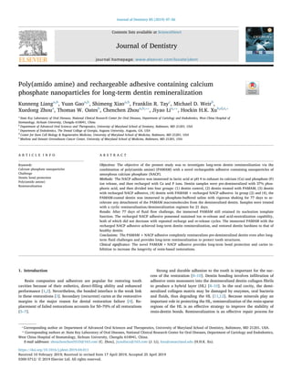 Contents lists available at ScienceDirect
Journal of Dentistry
journal homepage: www.elsevier.com/locate/jdent
Poly(amido amine) and rechargeable adhesive containing calcium
phosphate nanoparticles for long-term dentin remineralization
Kunneng Lianga,b
, Yuan Gaoa,b
, Shimeng Xiaoa,b
, Franklin R. Tayc
, Michael D. Weirb
,
Xuedong Zhoua
, Thomas W. Oatesb
, Chenchen Zhoua,b,⁎⁎
, Jiyao Lia,⁎⁎
, Hockin H.K. Xub,d,e,⁎
a
State Key Laboratory of Oral Diseases, National Clinical Research Center for Oral Diseases, Department of Cariology and Endodontics, West China Hospital of
Stomatology, Sichuan University, Chengdu 610041, China
b
Department of Advanced Oral Sciences and Therapeutics, University of Maryland School of Dentistry, Baltimore, MD 21201, USA
c
Department of Endodontics, The Dental College of Georgia, Augusta University, Augusta, GA, USA
d
Center for Stem Cell Biology & Regenerative Medicine, University of Maryland School of Medicine, Baltimore, MD 21201, USA
e
Marlene and Stewart Greenebaum Cancer Center, University of Maryland School of Medicine, Baltimore, MD 21201, USA
A R T I C L E I N F O
Keywords:
Calcium phosphate nanoparticles
Challenge
Dentin bond protection
Poly(amido amine)
Remineralization
A B S T R A C T
Objectives: The objective of the present study was to investigate long-term dentin remineralization via the
combination of poly(amido amine) (PAMAM) with a novel rechargeable adhesive containing nanoparticles of
amorphous calcium phosphate (NACP).
Methods: The NACP adhesive was immersed in lactic acid at pH 4 to exhaust its calcium (Ca) and phosphate (P)
ion release, and then recharged with Ca and P ions. Dentin samples were pre-demineralized with 37% phos-
phoric acid, and then divided into four groups: (1) dentin control, (2) dentin treated with PAMAM, (3) dentin
with recharged NACP adhesive, (4) dentin with PAMAM + recharged NACP adhesive. In group (2) and (4), the
PAMAM-coated dentin was immersed in phosphate-buﬀered saline with vigorous shaking for 77 days to ac-
celerate any detachment of the PAMAM macromolecules from the demineralized dentin. Samples were treated
with a cyclic remineralization/demineralization regimen for 21 days.
Results: After 77 days of ﬂuid ﬂow challenge, the immersed PAMAM still retained its nucleation template
function. The recharged NACP adhesive possessed sustained ion re-release and acid-neutralization capability,
both of which did not decrease with repeated recharge and re-release cycles. The immersed PAMAM with the
recharged NACP adhesive achieved long-term dentin remineralization, and restored dentin hardness to that of
healthy dentin.
Conclusions: The PAMAM + NACP adhesive completely remineralizes pre-demineralized dentin even after long-
term ﬂuid challenges and provides long-term remineralization to protect tooth structures.
Clinical signiﬁcance: The novel PAMAM + NACP adhesive provides long-term bond protection and caries in-
hibition to increase the longevity of resin-based restorations.
1. Introduction
Resin composites and adhesives are popular for restoring tooth
cavities because of their esthetics, direct-ﬁlling ability and enhanced
performance [1,2]. Nevertheless, the bonded interface is the weak link
in these restorations [3]. Secondary (recurrent) caries at the restorative
margins is the major reason for dental restoration failure [4]. Re-
placement of failed restorations accounts for 50–70% of all restorations
[5–7].
Strong and durable adhesion to the tooth is important for the suc-
cess of the restoration [8–10]. Dentin bonding involves inﬁltration of
adhesive resin monomers into the demineralized dentin collagen ﬁbrils
to produce a hybrid layer (HL) [8–10]. In the oral cavity, the demi-
neralized collagen matrix may be damaged by enzymes, oral bacteria
and ﬂuids, thus degrading the HL [11,12]. Because minerals play an
important role in protecting the HL, remineralization of the resin-sparse
regions of the HL is an eﬀective strategy to improve the stability of
resin-dentin bonds. Remineralization is an eﬀective repair process for
https://doi.org/10.1016/j.jdent.2019.04.011
Received 10 February 2019; Received in revised form 17 April 2019; Accepted 25 April 2019
⁎
Corresponding author at: Department of Advanced Oral Sciences and Therapeutics, University of Maryland School of Dentistry, Baltimore, MD 21201, USA.
⁎⁎
Corresponding authors at: State Key Laboratory of Oral Diseases, National Clinical Research Center for Oral Diseases, Department of Cariology and Endodontics,
West China Hospital of Stomatology, Sichuan University, Chengdu 610041, China.
E-mail addresses: zhouchenchen5510@163.com (C. Zhou), jiyaoliscu@163.com (J. Li), hxu@umaryland.edu (H.H.K. Xu).
Journal of Dentistry 85 (2019) 47–56
0300-5712/ © 2019 Elsevier Ltd. All rights reserved.
T
 