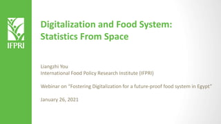Digitalization and Food System:
Statistics From Space
Liangzhi You
International Food Policy Research Institute (IFPRI)
Webinar on “Fostering Digitalization for a future-proof food system in Egypt”
January 26, 2021
 