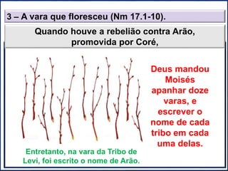 3 – A vara que floresceu (Nm 17.1-10).
Quando houve a rebelião contra Arão,
promovida por Coré,
Deus mandou
Moisés
apanhar doze
varas, e
escrever o
nome de cada
tribo em cada
uma delas.
Entretanto, na vara da Tribo de
Levi, foi escrito o nome de Arão.
 