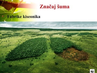 Značaj šuma
Fabrike kiseonika
 