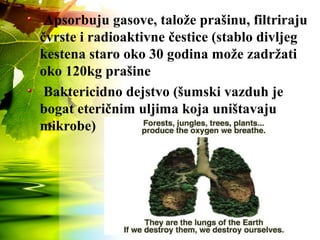 Apsorbuju gasove, talože prašinu, filtriraju
čvrste i radioaktivne čestice (stablo divljeg
kestena staro oko 30 godina može zadržati
oko 120kg prašine
Baktericidno dejstvo (šumski vazduh je
bogat eteričnim uljima koja uništavaju
mikrobe)
 