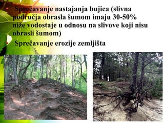 Sprečavanje nastajanja bujica (slivna
područja obrasla šumom imaju 30-50%
niže vodostaje u odnosu na slivove koji nisu
obrasli šumom)
Sprečavanje erozije zemljišta
 