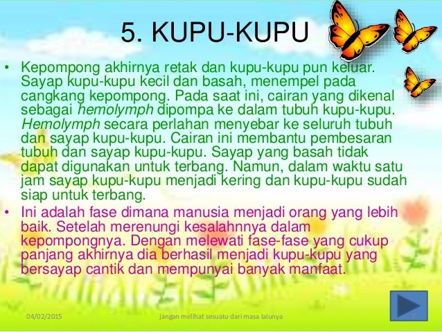 Puisi Tentang Alam Kupu Kupu Koleksi Puisi