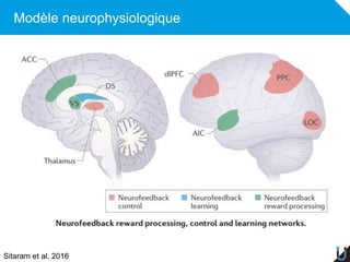Modèle neurophysiologique
Sitaram et al. 2016
 