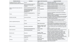 Glándula endocrina hormonas Órgano sobre el que actúa Acciones principales
Útero Estimula las contracciones
Glándulas mamarias Estimula la expulsión de leche hacia los conductos
Hormona antidiurética (vasopresina) Riñones(conductos colectores) Estimula la reabsorción de agua; conserva agua
Hormona del crecimiento (GH) General Estimula el crecimiento al promover la síntesis de proteínas
Prolactina Glandulas mamarias Estimula la producción de leche
Hormona estimulante del tiroides (TSH) tiroides
Estimula la secreción de hormonas tiroideas; estimula el
aumento de tamaño del tiroides.
Hormona adrenocorticotrópica (ACTH) Corteza suprarrenal Estimula la secreción de hormonas corticosuprarrenales
Hormonas gonadotrópicas
(foliculoestimulante, FSH;
luteinizante, LH)
Gónadas Estimula el funcionamiento y crecimiento gonadales
Tiroxina (T4) y triyodotironina (T3) General
Estimulan el metabolismo; esencial para el crecimiento y
desarrollo normal
Calcitonina Hueso
Reduce la concentración sanguínea de calcio inhibiendo la
degradación ósea por osteoclastos
Glándulas paratiroides Hormona paratiroidea Hueso, riñones, tubo digestivo
Incrementa la concentración sanguínea de calcio estimulando
la degradación ósea; estimula la reabsorción de calcio por
los riñones; activa la vitamina D
Insulina General
Reduce la concentración sanguínea de glucosa facilitando la
captación y el empleo de ésta por las células; estimula
la glucogenogénesis; estimula el almacenamiento de grasa y la
síntesis de proteína
Glucagón Hígado, tejido adiposo
Eleva la concentración sanguínea de la glucosa estimulando
la glucogenólisis y la gluconeogénesis; moviliza la grasa
Médula suprarrenal Adrenalina y noradrenalina
Músculo, miocardio, vasos
sanguíneos, hígado, tejido
adiposo
Ayuda al organismo a afrontar el estrés; incrementa la frecuencia
cardíaca, la presión arterial, la tasa metabólica; desvía el riego
sanguíneo; moviliza grasa; eleva la concentración sanguínea de
azúcar.
Mineralocorticoides(aldosterona) Túbulos renales Mantiene el equilibrio de sodio y fosfato
Glucocorticoides(cortisol) General
Ayuda al organismo a adaptarse al estrés a largo plazo; eleva la
concentración sanguínea de glucosa; moviliza grasa
Glándula pineal Melatonina
Gónadas, células
pigmentarias, otros tejidos
Influye en los procesos reproductivos en cricetos y otros
animales; pigmentación en algunos vertebrados; puede
controlar biorritmos en algunos animales; puede ayudar a
controlar el inicio de la pubertad en el ser humano
Estrógenos(estradiol) General; útero
Desarrollo y mantenimiento de caracteres sexuales
femeninos, estimula el crecimiento del revestimiento uterino
Progesterona Útero; mama Estimula el desarrollo del revestimiento uterino
Testosterona
General; estructuras
reproductivas
Desarrollo y mantenimiento de caracteres sexuales
masculinos; promueve la espermatogénesis; produce el
crecimiento en la adolescencia
Inhibina Lóbulo anterior de la hipófisis Inhibe la liberación de FSH
Ovario
Testículos
Hipotálamo(producción ) Hipófisis,
neurohipófisis (almacenamiento y liberación)
Oxitocina
Hipófisis (producción) Lóbulo anterior de la
hipófisis
Tiroides
Islotes de Langerhansdel páncreas
Corteza suprarrenal
TomadodeWikipedia,2017
 