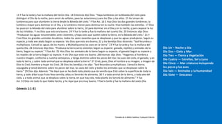 13 Y fue la tarde y fue la mañana del tercer Día. 14 Entonces dijo Dios: “Haya lumbreras en la Bóveda del cielo para
distinguir el Día de la noche, para servir de señales, para las estaciones y para los Días y los años. 15 Así sirvan de
lumbreras para que alumbren la tierra desde la Bóveda del cielo.” Y fue Así. 16 E hizo Dios las dos grandes lumbreras: la
lumbrera mayor para dominar en el Día, y la lumbrera menor para dominar en la noche. Hizo también las estrellas. 17 Dios
las puso en la Bóveda del cielo para alumbrar sobre la tierra, 18 para dominar en el Día y en la noche, y para separar la luz
de las tinieblas. Y vio Dios que esto era bueno. 19 Y fue la tarde y fue la mañana del cuarto Día. 20 Entonces dijo Dios:
“Produzcan las aguas innumerables seres vivientes, y haya aves que vuelen sobre la tierra, en la Bóveda del cielo.” 21 Y
Creó Dios los grandes animales Acuáticos, todos los seres vivientes que se desplazan y que las aguas produjeron, Según su
especie, y toda ave alada Según su especie. Vio Dios que esto era bueno, 22 y los bendijo Dios diciendo: “Sed fecundos y
multiplicaos. Llenad las aguas de los mares; y Multiplíquense las aves en la tierra.” 23 Y fue la tarde y fue la mañana del
quinto Día. 24 Entonces dijo Dios: “Produzca la tierra seres vivientes Según su especie: ganado, reptiles y animales de la
tierra, Según su especie.” Y fue Así. 25 Hizo Dios los animales de la tierra Según su especie, el ganado Según su especie y
los reptiles de la tierra Según su especie. Y vio Dios que esto era bueno. 26Entonces dijo Dios: “Hagamos al hombre a
nuestra imagen, conforme a nuestra semejanza, y tenga dominio sobre los peces del mar, las aves del cielo, el ganado, y en
toda la tierra, y sobre todo animal que se desplaza sobre la tierra.” 27 Creó, pues, Dios al hombre a su imagen; a imagen de
Dios lo Creó; hombre y mujer los Creó. 28 Dios los bendijo y les dijo: “Sed fecundos y multiplicaos. Llenad la tierra;
sojuzgadla y tened dominio sobre los peces del mar, las aves del cielo y todos los animales que se desplazan sobre la
tierra.” 29 Dios dijo Además: “He Aquí que os he dado toda planta que da semilla que Está sobre la superficie de toda la
tierra, y todo árbol cuyo fruto lleva semilla; ellos os Servirán de alimento. 30 Y a todo animal de la tierra, a toda ave del
cielo, y a todo animal que se desplaza sobre la tierra, en que hay vida, toda planta les Servirá de alimento.” Y fue
Así. 31 Dios vio todo lo que Había hecho, y he Aquí que era muy bueno. Y fue la tarde y fue la mañana del sexto Día.
Génesis 1:1-31
Día Un – Noche y Día
Día Dos – Cielo y Mar
Día Tres — Tierra y Vegetación
Día Cuatro — Estrellas, Sol y Luna
Día Cinco — Mar criaturas incluyendo
los peces y las aves
Día Seis — Animales y la humanidad
Día Siete — Descanso
Tomado de la Biblia Católica. Cualquier Edición
 