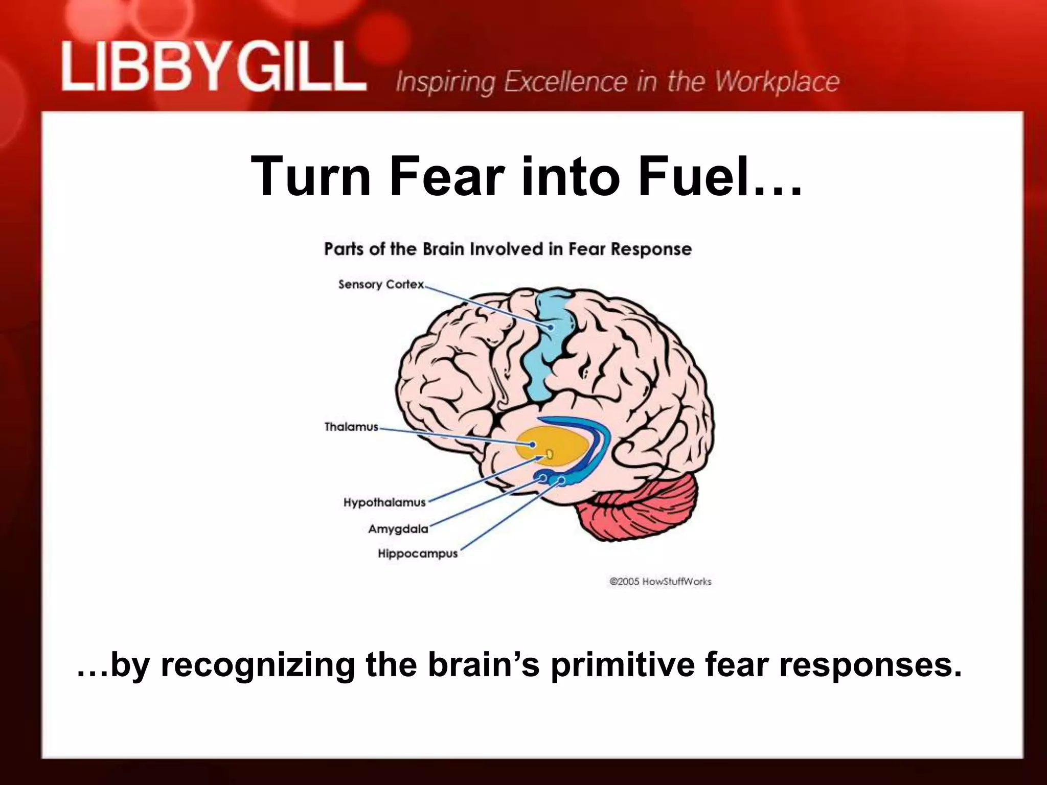 Turn Fear into Fuel…




…by recognizing the brain’s primitive fear responses.
 