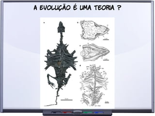 Liberdade para o Conhecimento