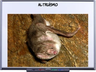 Liberdade para o Conhecimento