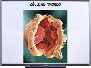 Liberdade para o Conhecimento