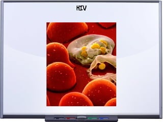 Liberdade para o Conhecimento