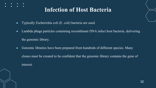 Genomic library construction using lambda. phagepptx | PPT