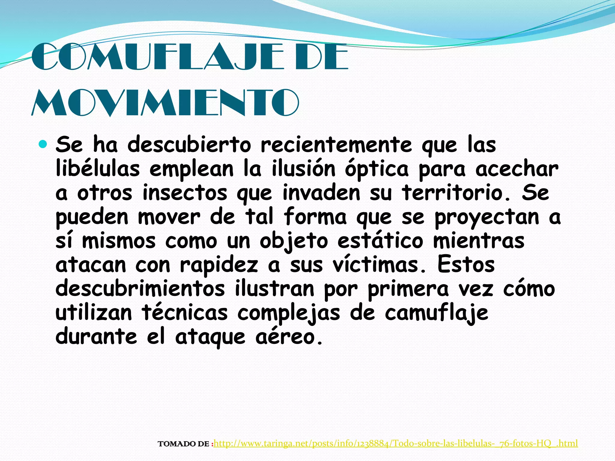 COMUFLAJE DE MOVIMIENTOSe ha descubierto recientemente que las libélulas emplean la ilusión óptica para acechar a otros insectos que invaden su territorio. Se pueden mover de tal forma que se proyectan a sí mismos como un objeto estático mientras atacan con rapidez a sus víctimas. Estos descubrimientos ilustran por primera vez cómo utilizan técnicas complejas de camuflaje durante el ataque aéreo.TOMADO DE :http://www.taringa.net/posts/info/1238884/Todo-sobre-las-libelulas-_76-fotos-HQ_.html