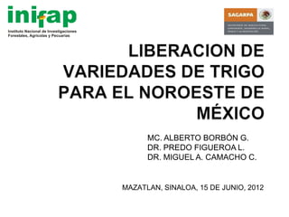 MC. ALBERTO BORBÓN G.
      DR. PREDO FIGUEROA L.
      DR. MIGUEL A. CAMACHO C.


MAZATLAN, SINALOA, 15 DE JUNIO, 2012
 