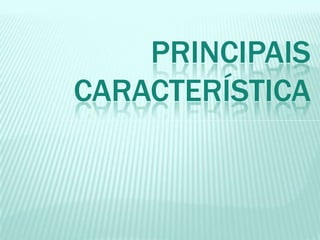 PRINCIPAIS
CARACTERÍSTICA
 