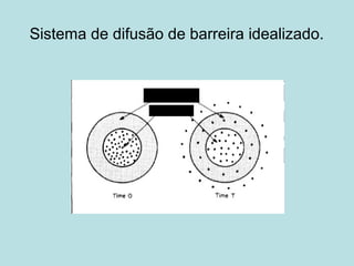 Sistema de difusão de barreira idealizado.
Polímero
Fármaco
 