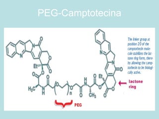 PEG-Camptotecina
 