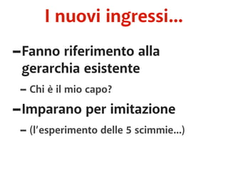 I nuovi ingressi... 
-Fanno riferimento alla 
gerarchia esistente 
- Chi è il mio capo? 
-Imparano per imitazione 
- (l’esperimento delle 5 scimmie...) 
 