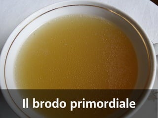 Il brodo primordiale 
 