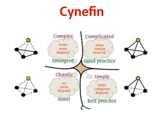 Cynefin 
 