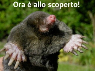 Ora è allo scoperto! 
 